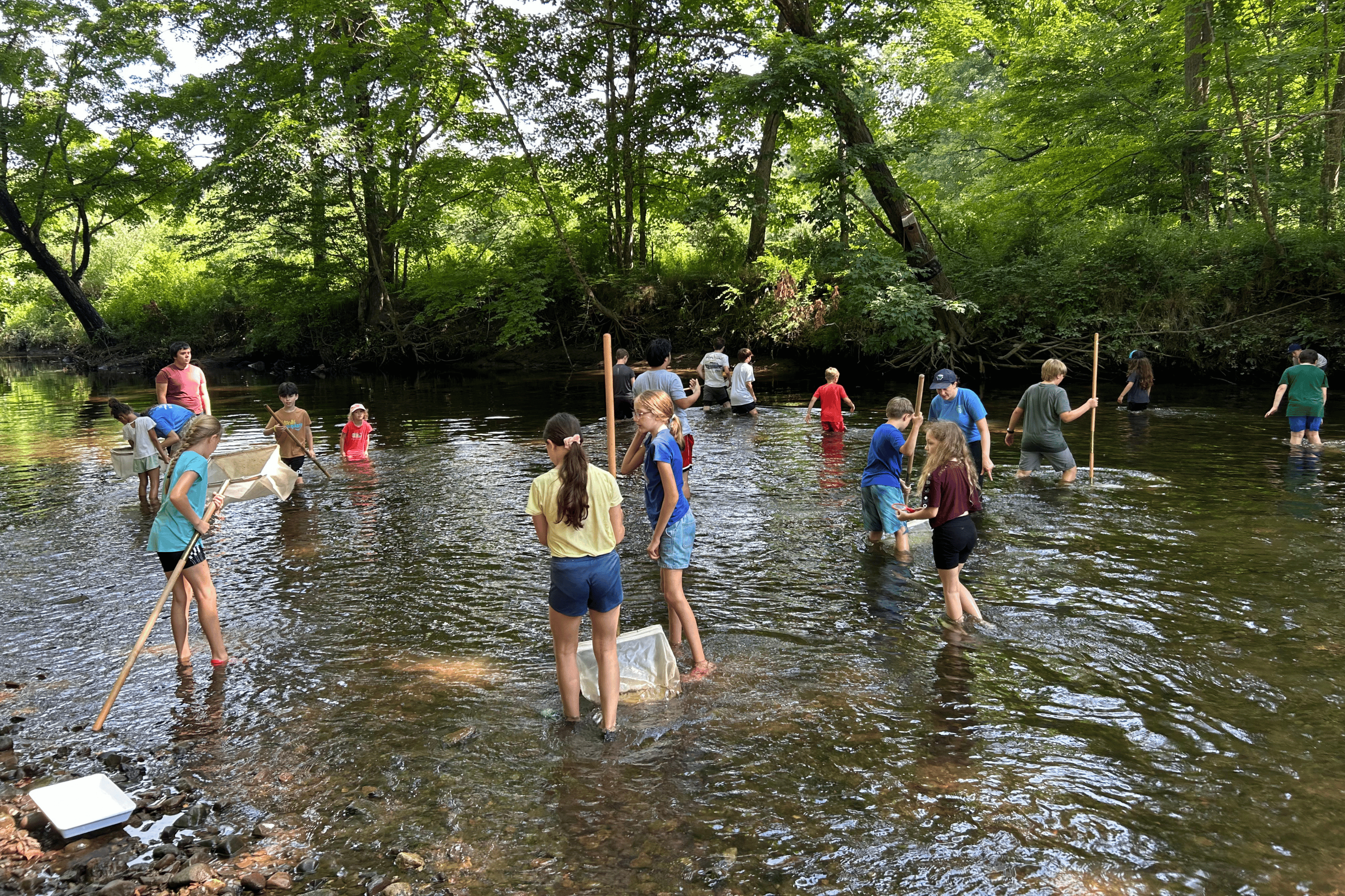 A large group of kids and counselors wading in a river with nets and other tools to catch and observe fish and other water critters.